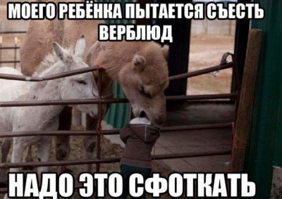 content.foto.my.mail.ru_community_gravit