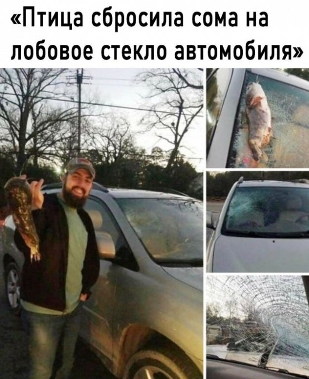 20044793.jpg