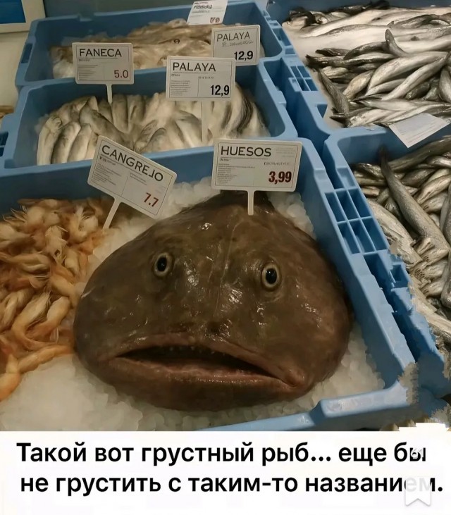 20113336.jpg