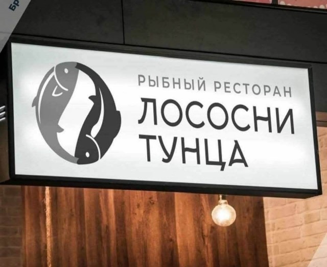 20334179.jpg