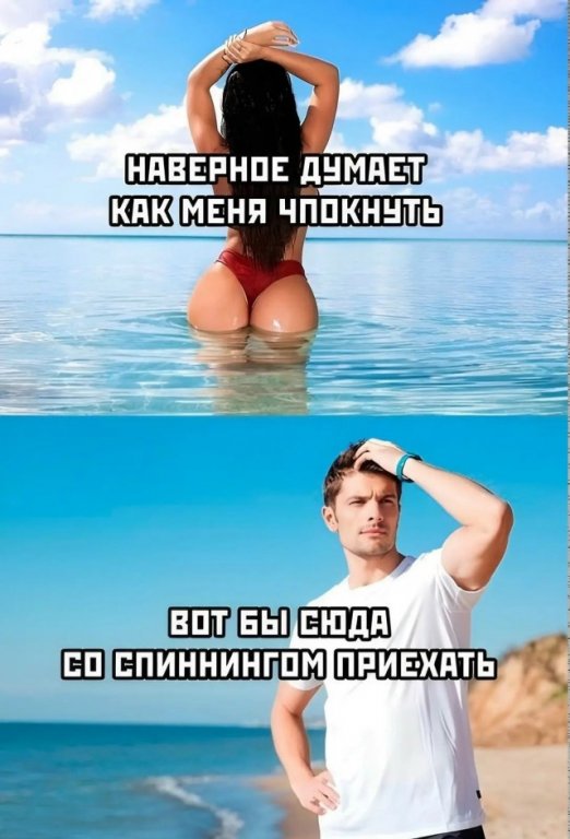 20984891.jpg