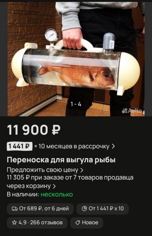 21005725.jpg