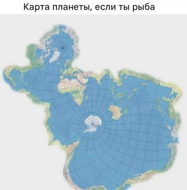 21015149.jpg