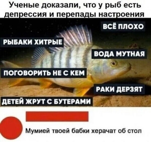 21097550.jpg