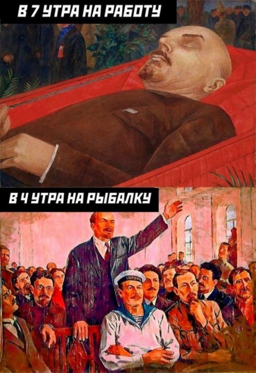 21204037.jpg