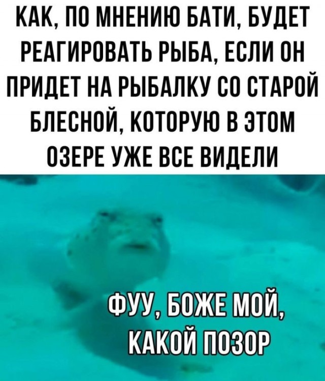 21278271.jpg