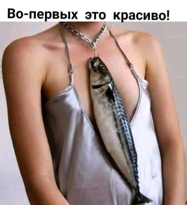 21344232.jpg