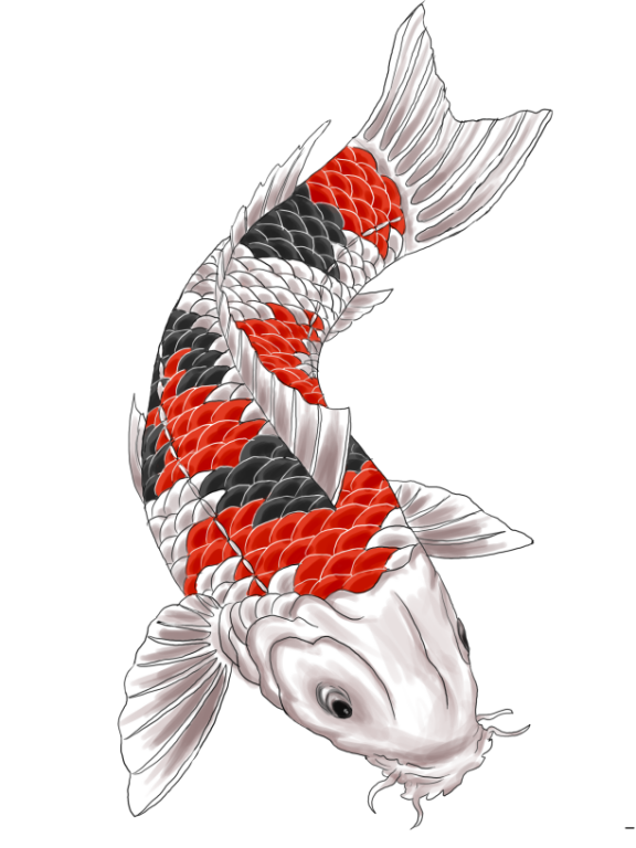 koi_tattoo_design_by_gaikotsu91-d4qc95h.png