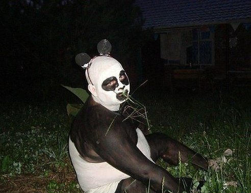 panda.jpg