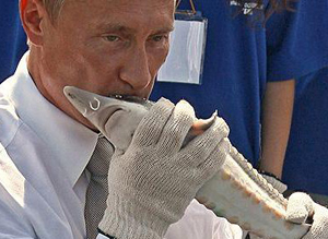 putin-kissing-fish.jpg