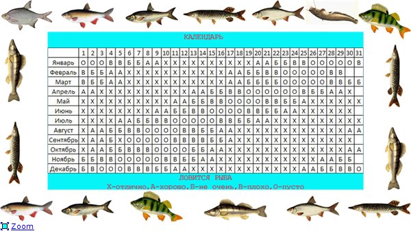 Клев орел. Таблица рыбака. Календарь ловли хариуса. Лунный календарь для ловли хариуса. Клёв рыбы по месяцам в Астраханской.