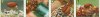 Maggot_and_Casters_1092.jpg