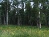 DSC03249.JPG