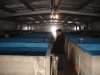 DSC03433.JPG