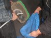 DSC03458.JPG