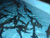 DSC03435.JPG