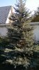 IMAG0020.jpg