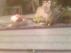 image (5).jpeg