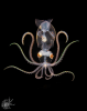 image (1).png