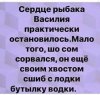 20981410.jpg
