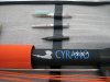 mares_cyrano_for_sell_almaty_02.jpg