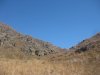 IMG_8555.JPG