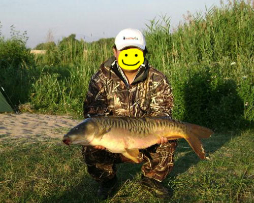 &lt;img src=&quot;style_emoticons/&lt;#EMO_DIR#&gt;/fishing.gif&quot;...