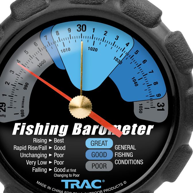 &lt;img src=&quot;style_emoticons/&lt;#EMO_DIR#&gt;/fishing.gif&quot;...