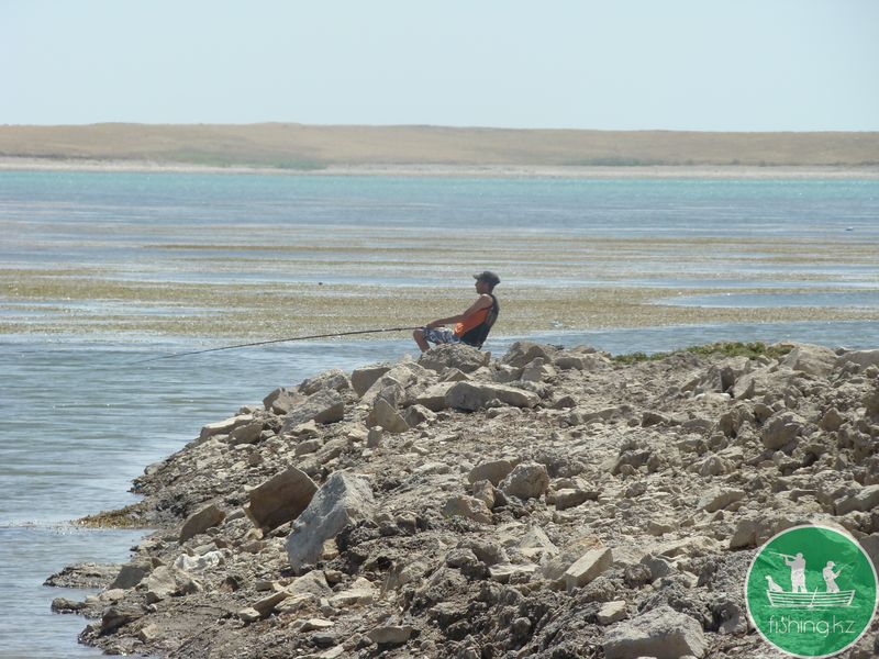 Кубок FISHING.KZ по ловле на спиннинг с лодки &quot;ЗМЕЕГОЛОВ 2014&quot;