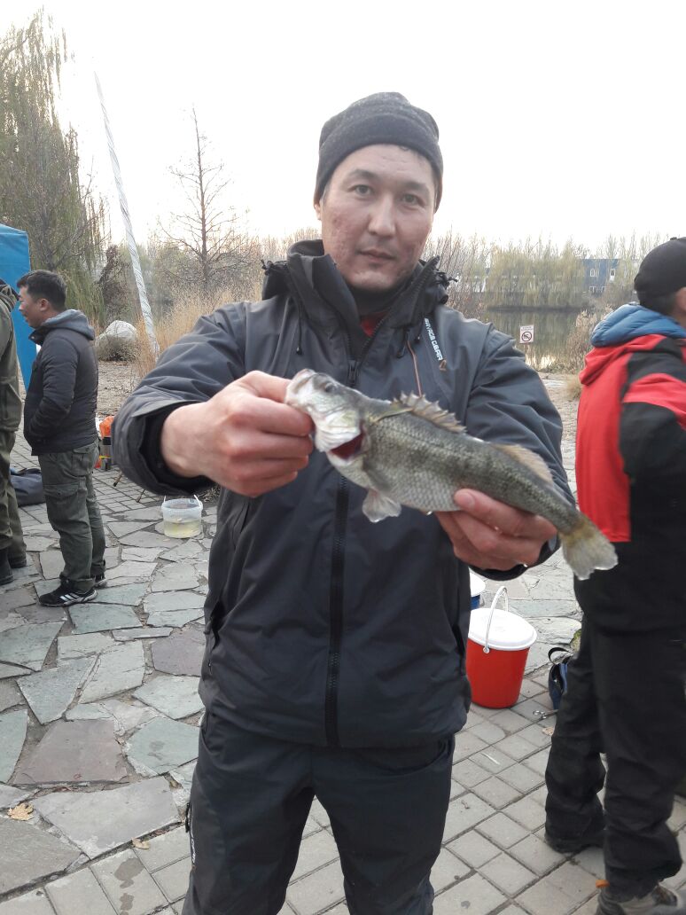 Окунь-325гр. Кубок fishing.kz по спинингу с берега 13.11.16