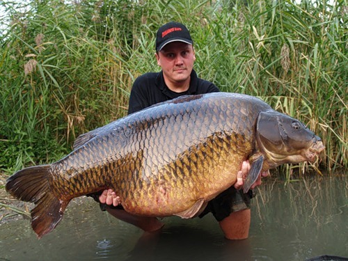 The biggest carp