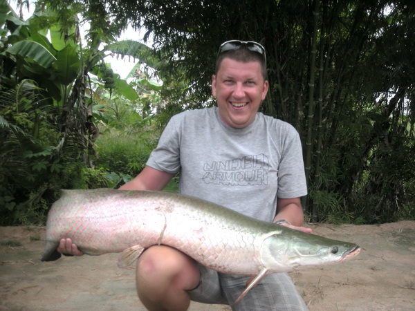 arapaima