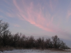 Первые лучи зари