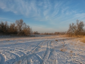 Мороз и солнце