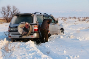 Бери больше...