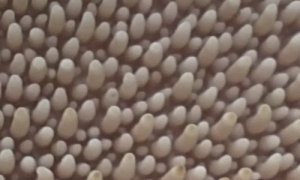 5604